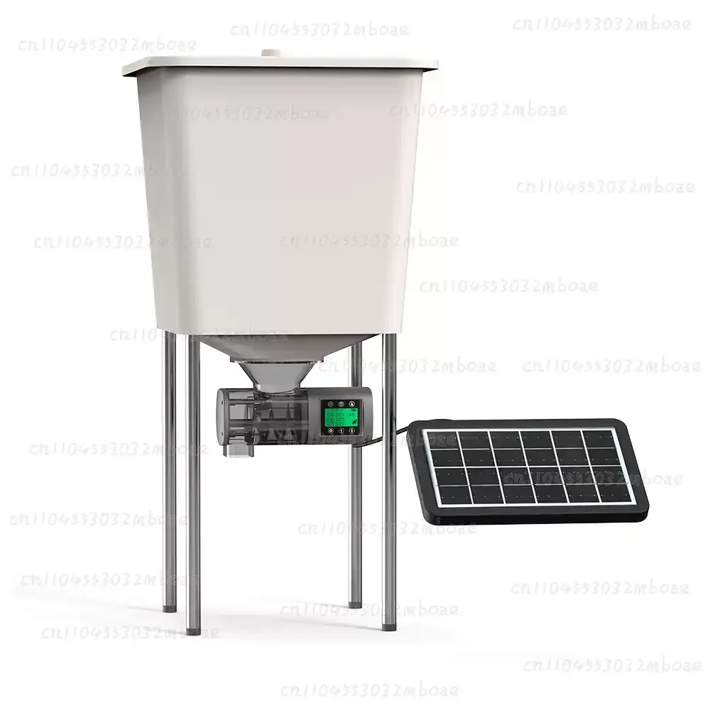 

Trough Intellegent Timing Automatic Chicken Feeder Pigeon Supplies Auto-matic Chicken Pigeon Chicken Duck Carrier Pigeon