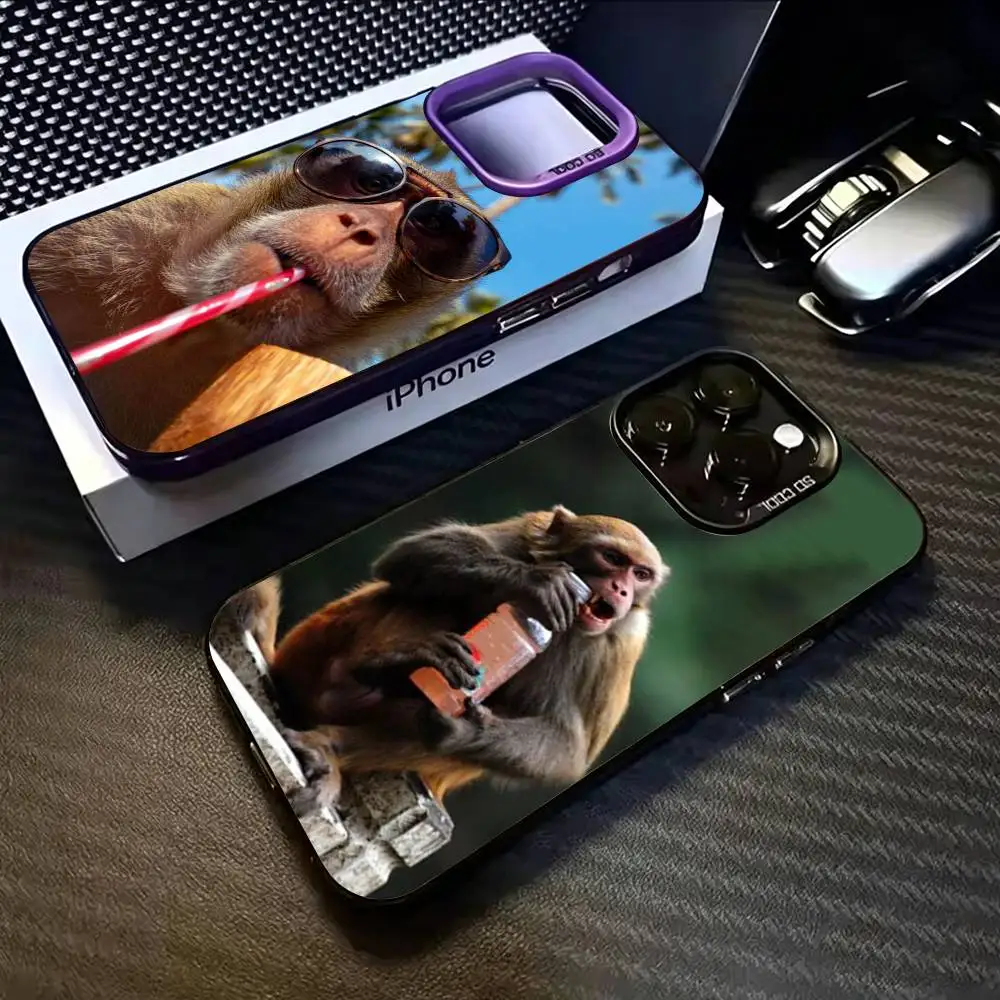 

Monkey Drinking Juice Phone Case For iPhone 17,16,15,14,13,12,11 Plus,Pro Max,XS,Colorful Silver Black Cover