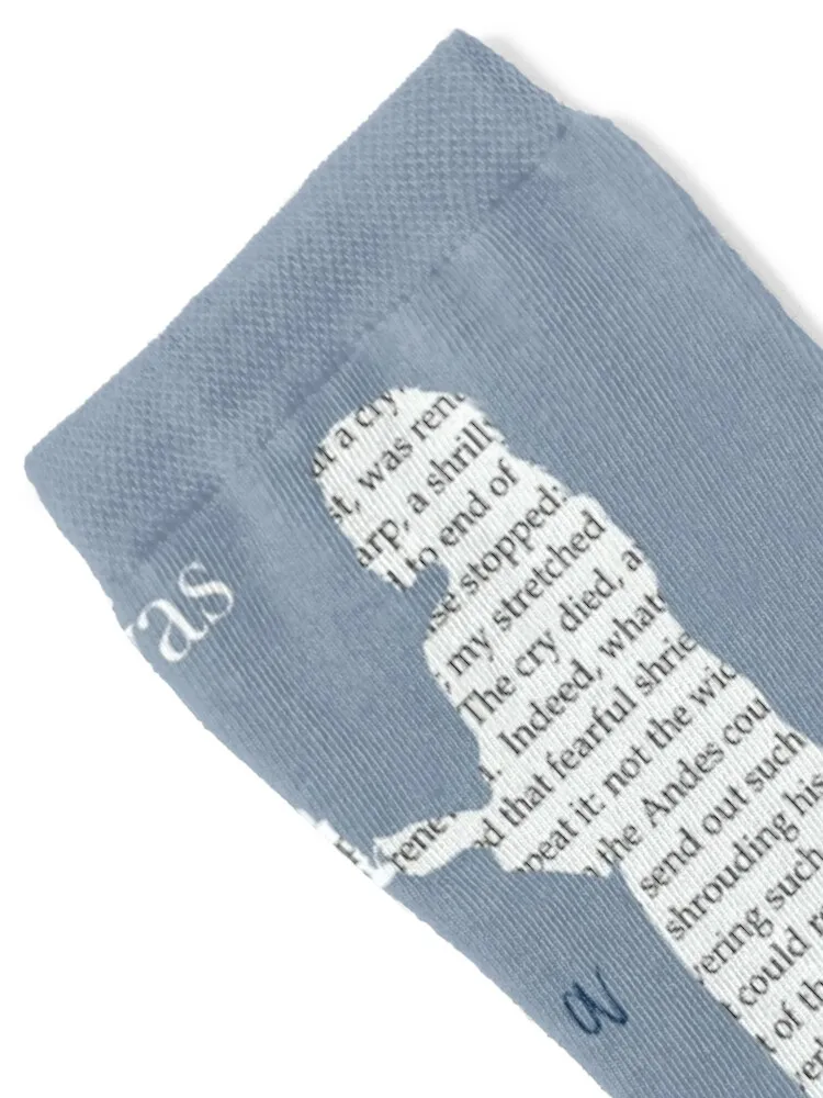 First Lines: Charlotte Bronte,Jane Eyre Socks funny sock hiphop floral anti-slip Socks Women's Men's