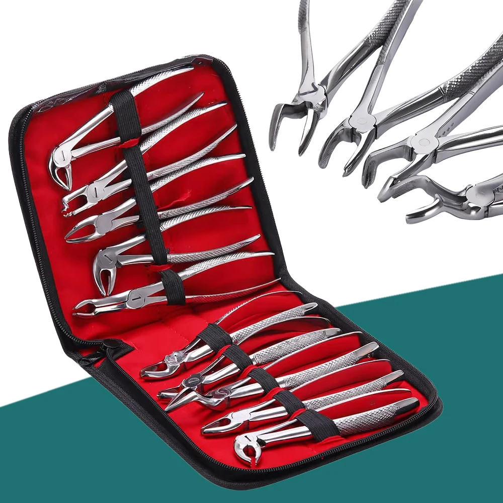 

Surgical Dental Extraction Forceps for Adults Tooth Removal Curved Root Elevator Lift Tool Professional Oral Instruments