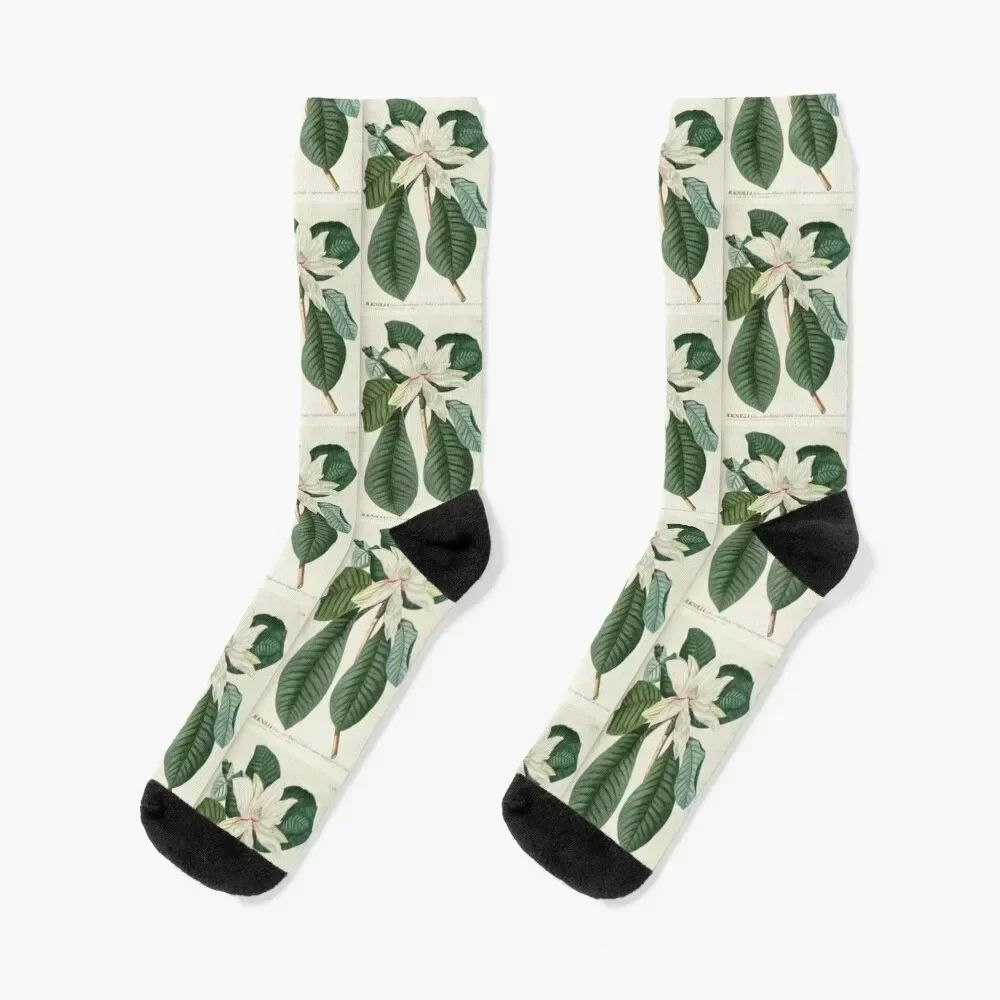 

Botanical Magnolia Socks new year Crossfit japanese fashion gym Men's Socks Luxury Women's