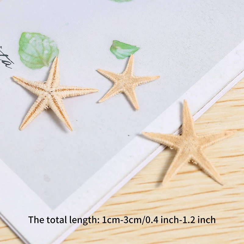 B84B 180 Pcs Small Natural Real Starfish, 0.4-1.2 Inch Sea Shells for Beach Crafts, Wedding Decor, Vase Fillers
