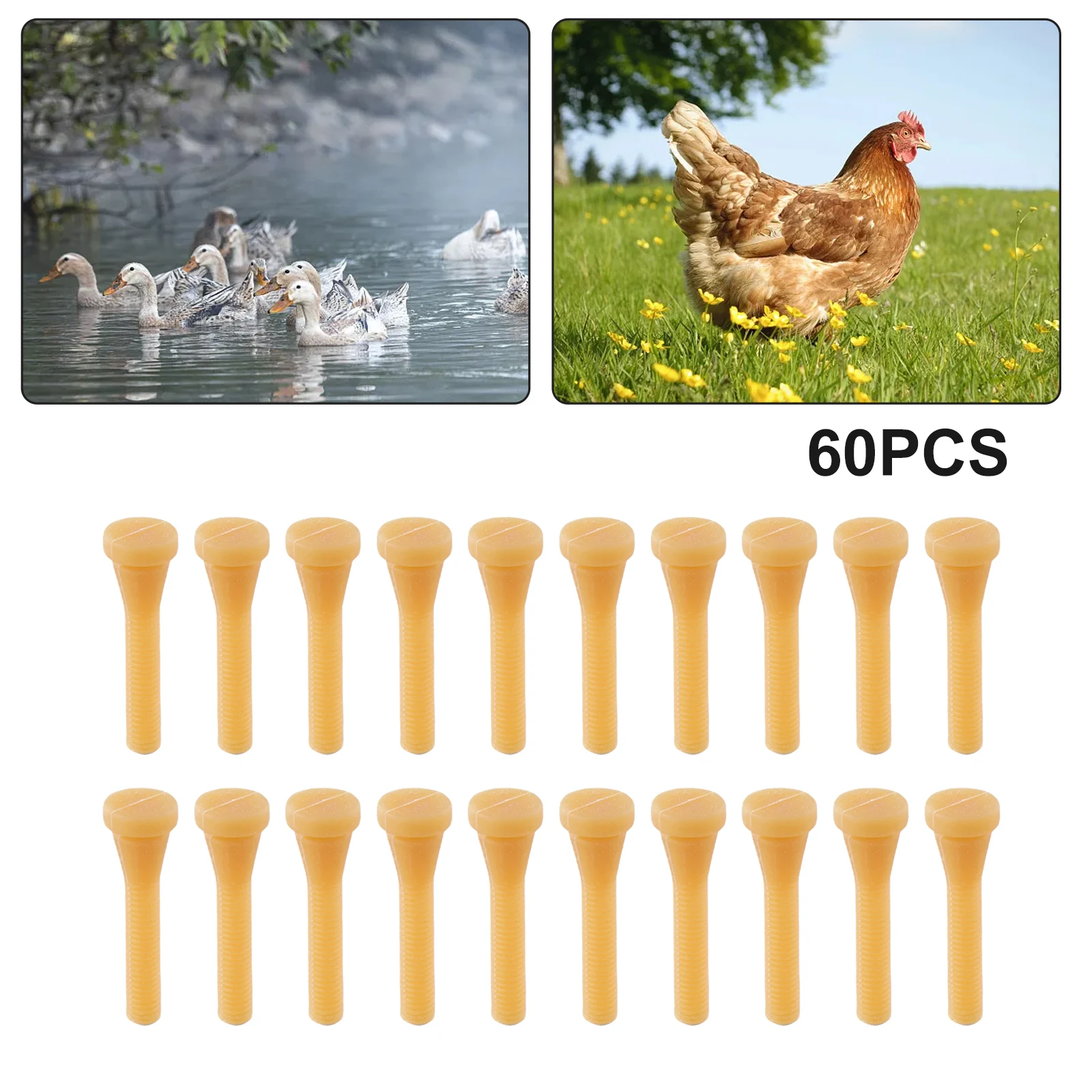 60pcs Chicken Plucker Finger Set Poultry Feather Plucking And Removal Tool For Chickens/Ducks/Goose Rubber Plucker Accessories