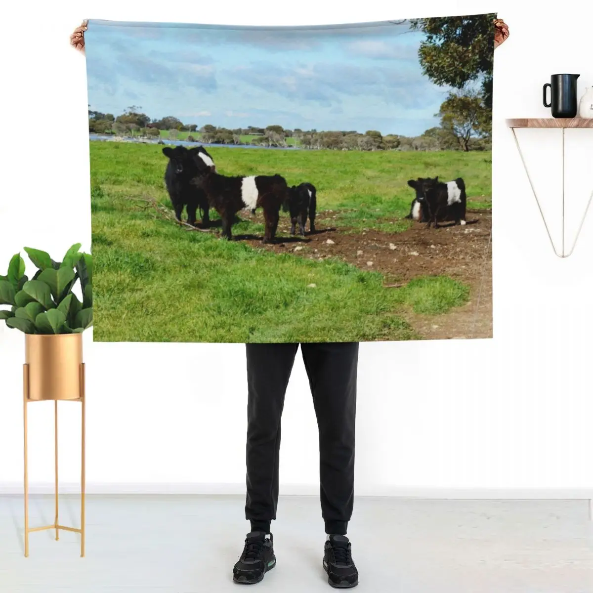 Belted Galloway Cows And Calves, Throw Blanket Decoratives Personalized Gift Cute Retros Custom Sofa Quilt Blankets