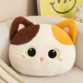 calico cat