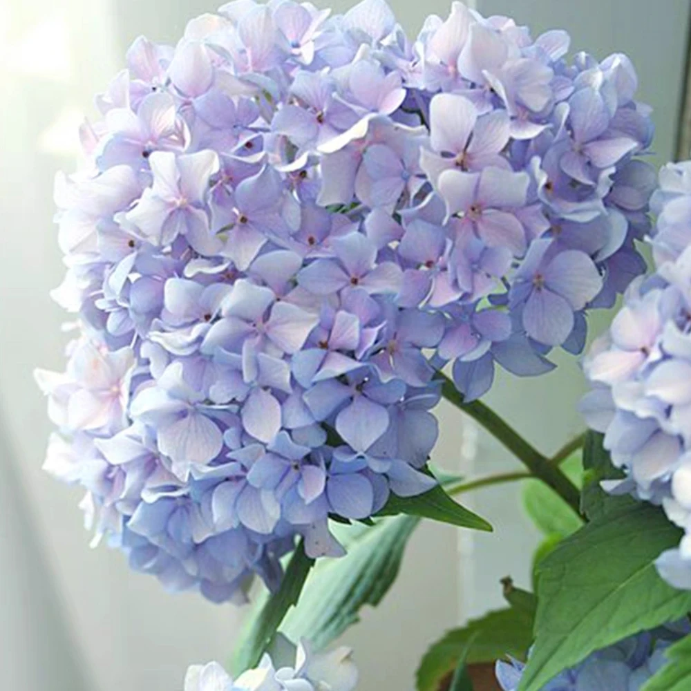 DIY Hydrangea Flower Veiner Silicone Mold Leaf Mould Petal Fondant Clay Resin Form Sugar Cake Decorating Tools Bakeware M2468