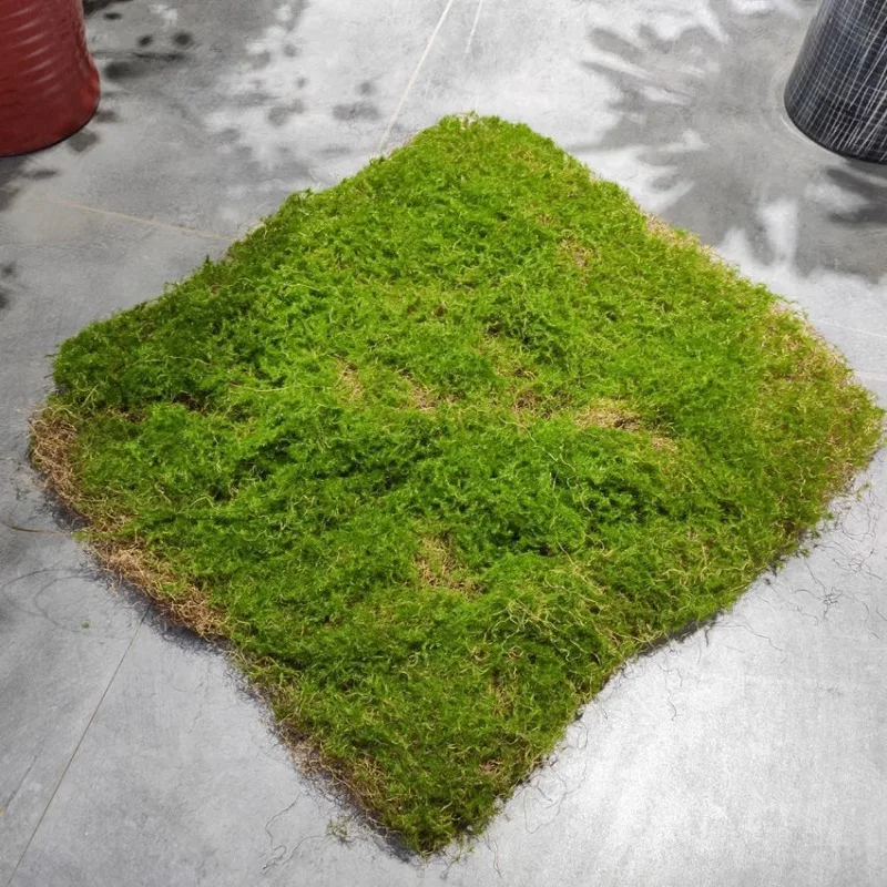 Artificial Moss Turf Simulation Fake Green Grass Moss Carpet Faux Lawn Muscus Bonsai Landscape DIY Outdoor Garden Deocraiton