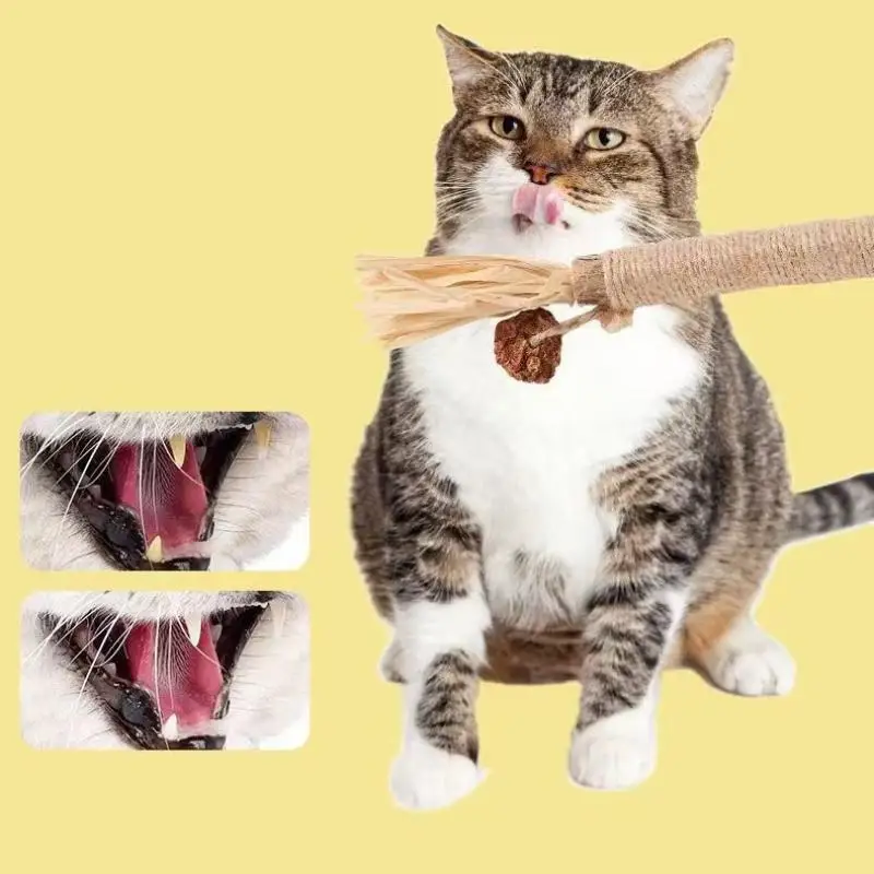 Novos brinquedos para gatos feitos de madeira, varas de dentição para gatos, galhas de ráfia, sisal, corda de limpeza dos dentes, palitos de provocação para gatos, 1/2 peças