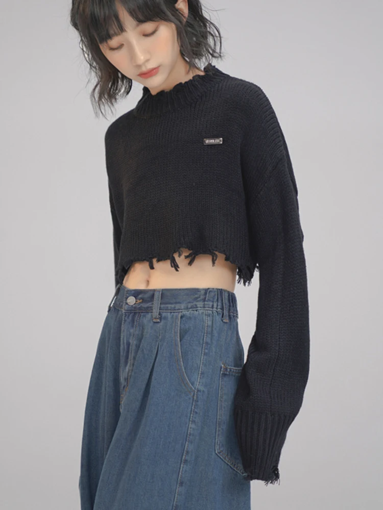 2023 Spring Summer Korean Fashion Women Crop Tops Long Sleeve O-Neck Sweater Solid Color Knitwear Streetwear Loose Casual Tide