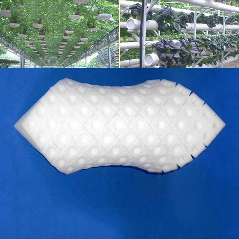 Seedling,White,Sponge,Hydroponic,Vegetables,100 pieces,Soilless