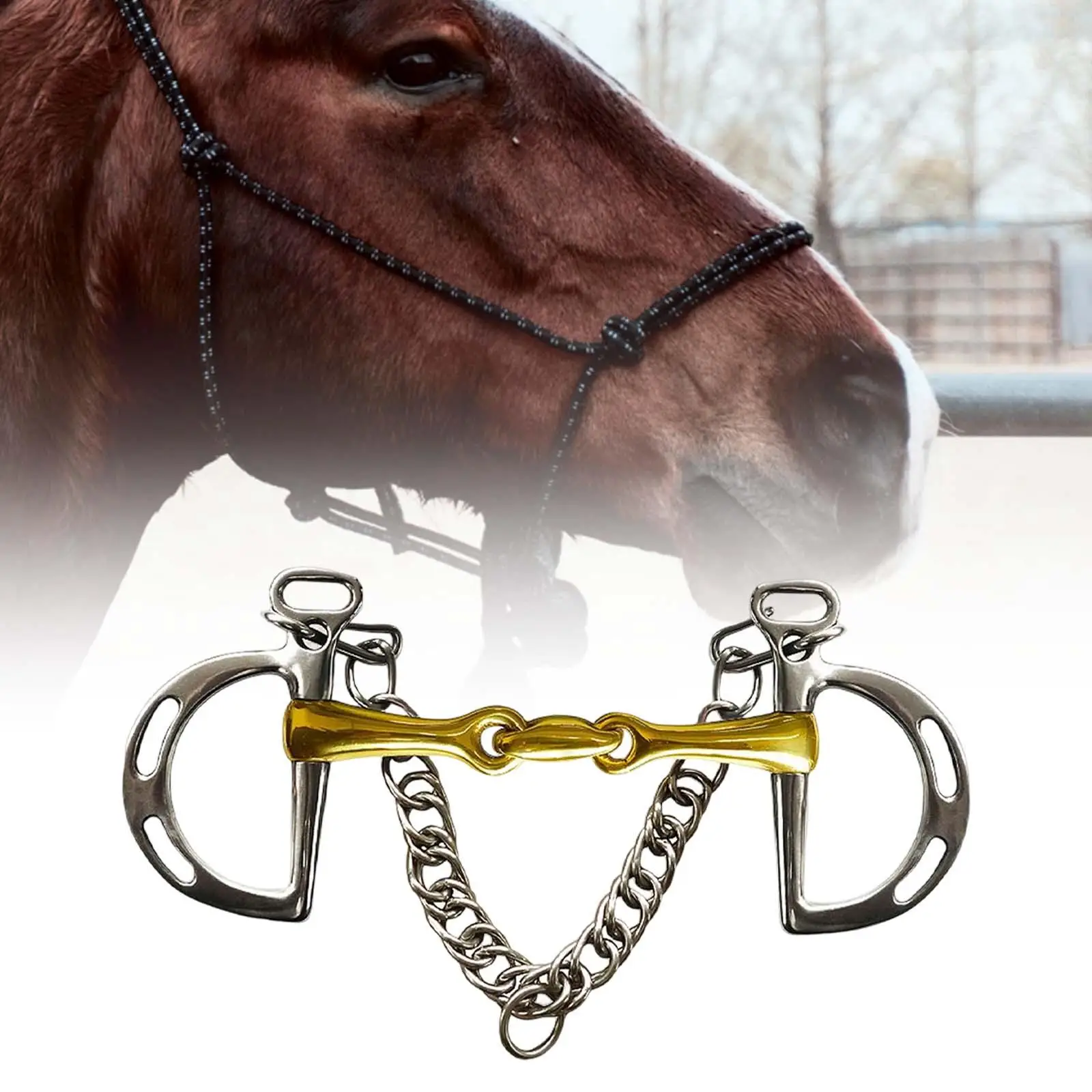 horse Bit, Copper Mouth with Curb Hooks Chain Harness, Cheek