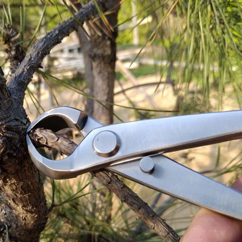 1 PCS Gardening Ball Shears Knob Ball Scissors Landscape Modeling Garden Silver Stainless Steel