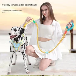 Versatile Pet Traction Leashes with a Comfortable Foam Handle