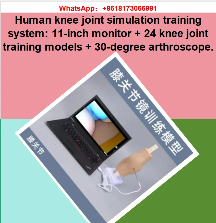 Human knee joint simulation training system: 11-inch monitor + 24 knee joint training models + 30-degree arthroscope.