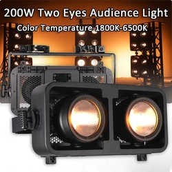 2x200W Two Eyes Audience Light Waterproof Blinder Stage Par Lights DMX Control For DJ Theater Photostudio Party Show DJ Wedding