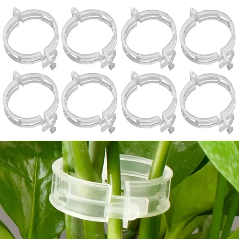 

10/20/50Pcs Plant Vine Fixed Buckle Reusable Plastic Connect Fixing Clips For Grapevine Tomato Stem Grafting Gardening Supplies