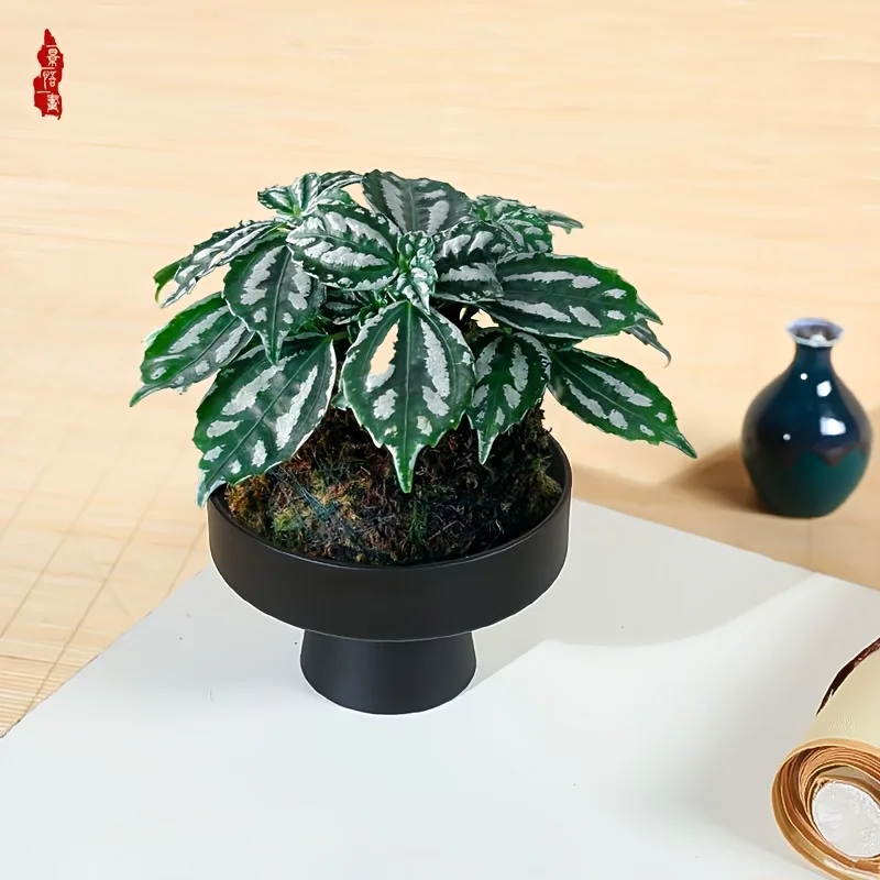 Porous Moss Ball Planter - Ceramic-Like Desktop Flower Pot & Fruit Bowl for Home Decor