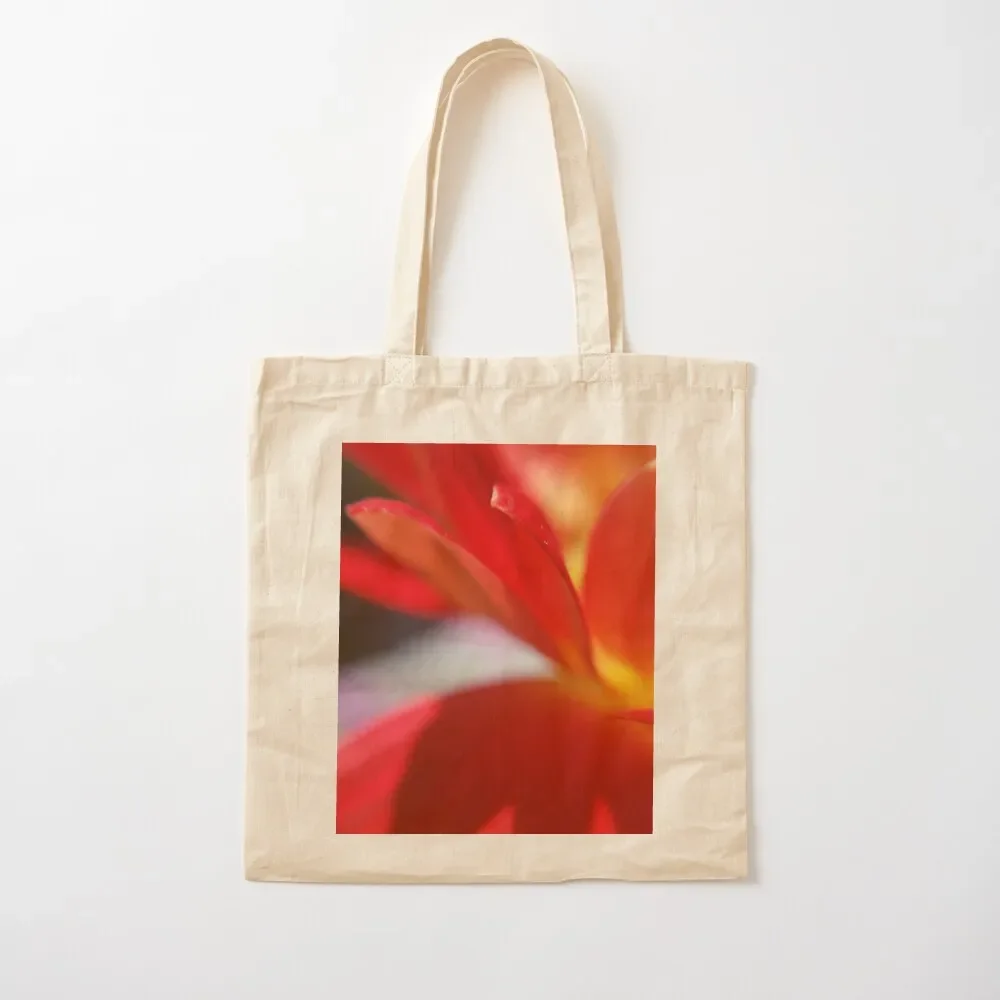 

Phoenix Fire Tote Bag the tote bag canvas bags hand bag bags for women