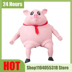 Squishy Pig Elastic Antistress Decompression Animal Toy Creative Anti-stress Pig Strech Dolls Elastic Toy Kid Birthday Xmas Gift