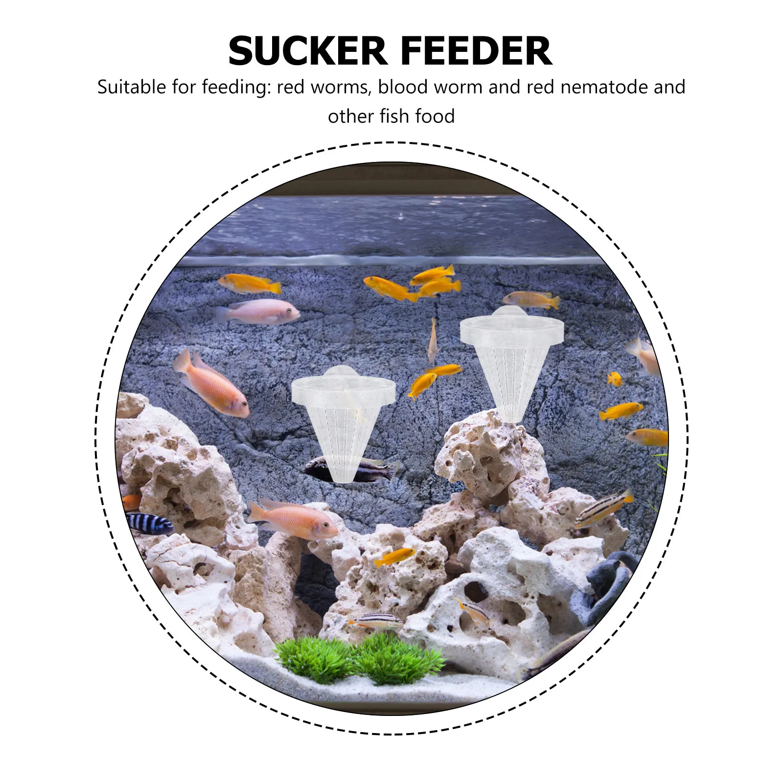 

10Pcs Aquarium Cone Feeding Cups Suction Sucker Fish Tank Worm Feeder Live Food Funnel Red Worm Feeder Durable