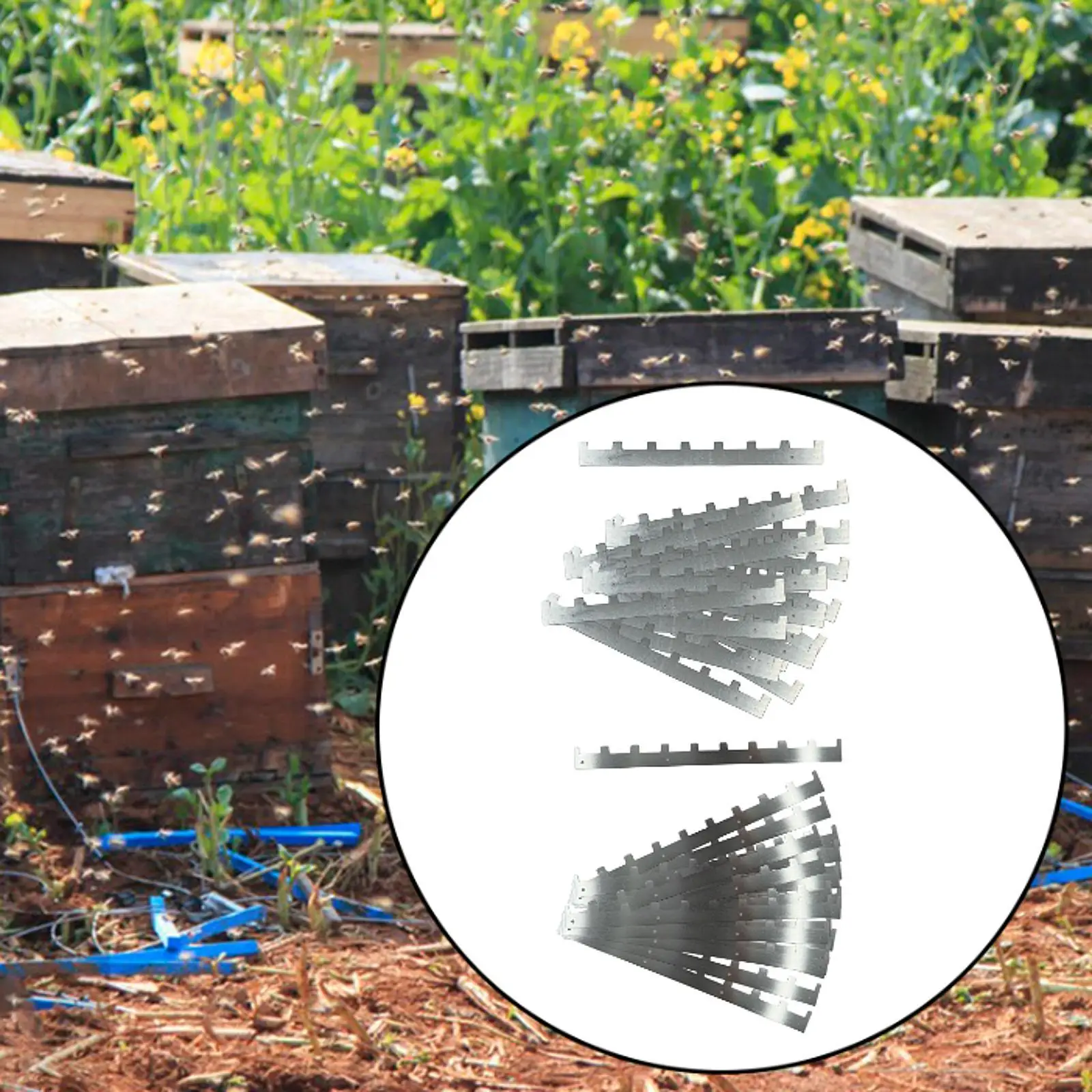 

20 Pieces Beehive Frame Space Strips Sturdy Easy to Install Hive Frames Clips Beekeeping Supplies for Garden Home Farm Beginners
