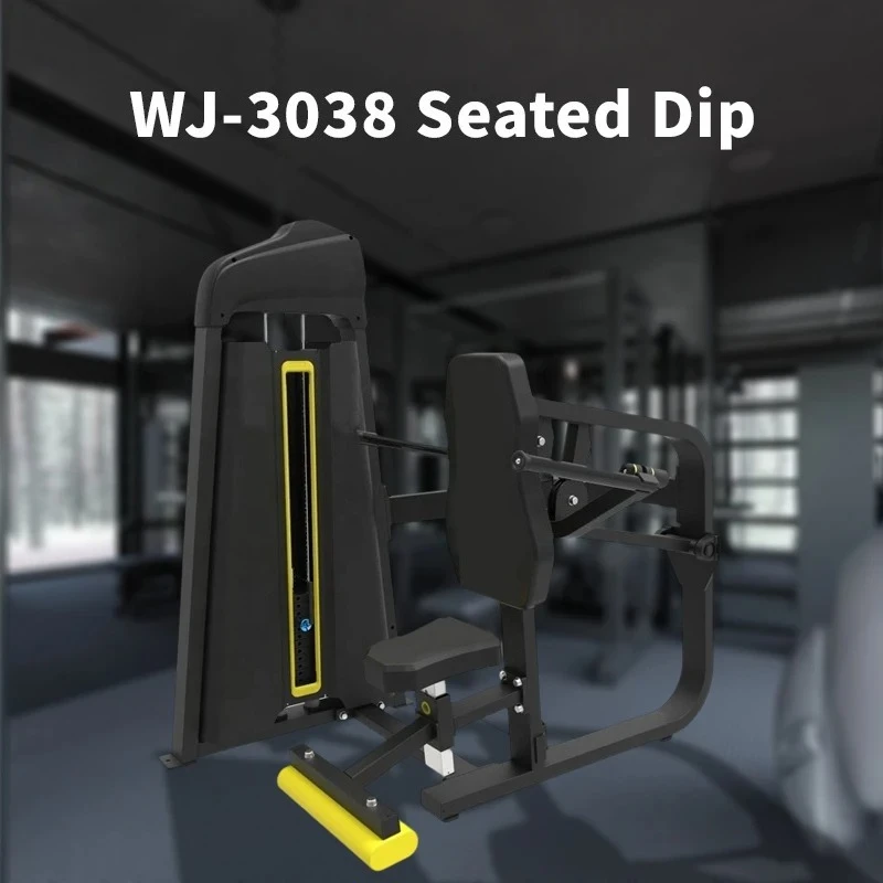 Commercial Gym Steel Fitness Equipment Strength Training Pin-Loaded Seated Dip for Body Building