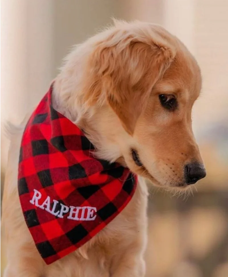 

Dog Bandana Personalized, Buffalo Plaid Dog Bandana, Dog Bandana with Name, Personalised Dog Bandana, Dog Clothes, Scarf For Dog