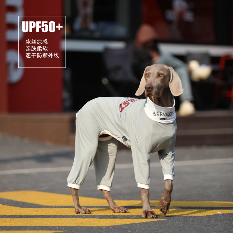 

UPF50+ Summer Big Dog Ice Silk Clothes Golden Retriever Labrador Sun-protective Clothing Luxury Costume for Media Large Dogs