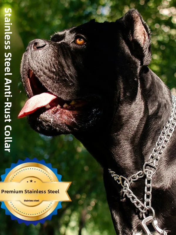 

Цепь-поводок из нержавеющей стали (20 дюймов) для собак мелких, средних и крупных пород: Голден Ретривер, Маламут. Ремень-цепь для выгула питомцев.