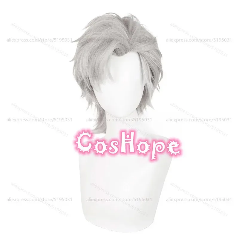 Sylus-Peluca de Cosplay de 38cm, peluca corta gris, pelucas de Cosplay de Anime, pelucas sintéticas resistentes al calor