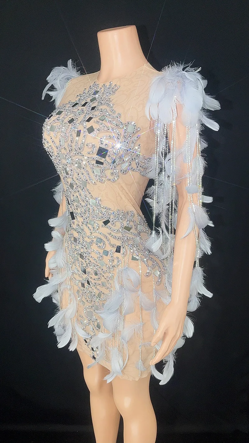 Robe de Soirée Moulante en Dentelle et Plumes à Paillettes, Tenue Personnalisée, Transparente, à Haute artificiel asticité, à Manches Courtes, Sexy, pour Spectacle sur Scène