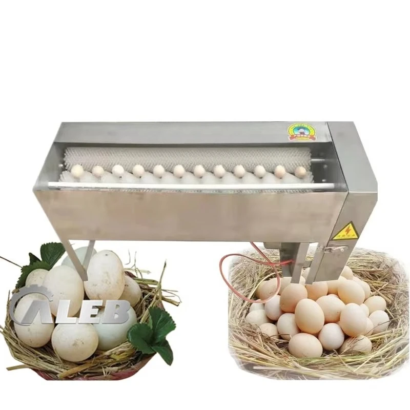 

Самая продаваемая стиральная машина для яиц птицы, насос для стирки перепелиных гусиных яиц, мельница для хлеба, муки, оборудование для приготовления пищи