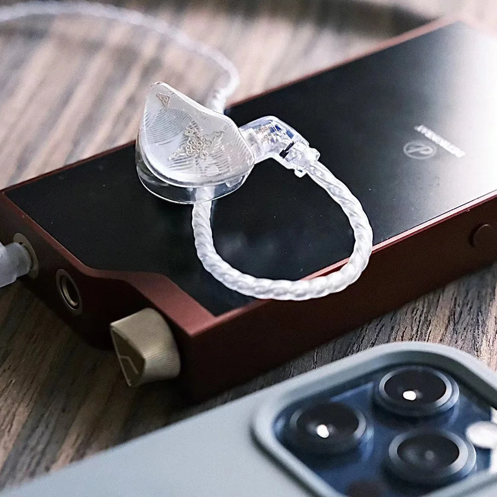 TANGZU Waner S.G HiFi 10 мм динамический драйвер ПЭТ-диафрагма в наушниках с двойной камерой полости металлическая насадка