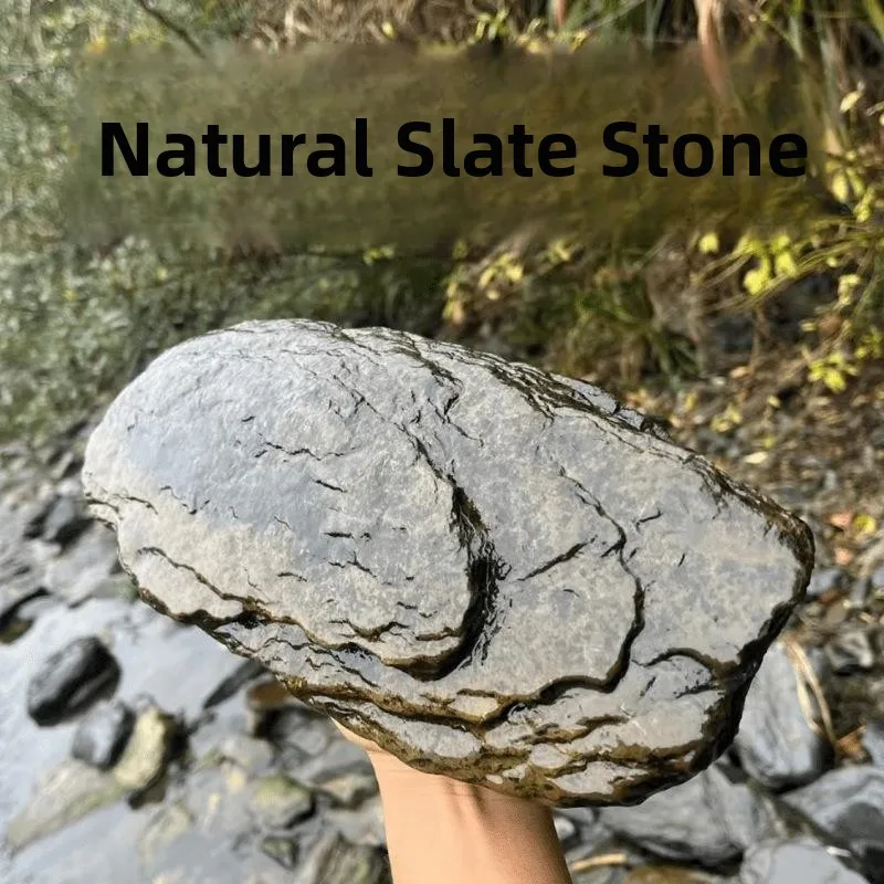 original-stream-stone-fragment-south-america-tank-landscape-shrimp-tiger-danio-fin-scarf-three-lake-main-stone-bottom-sand-tu