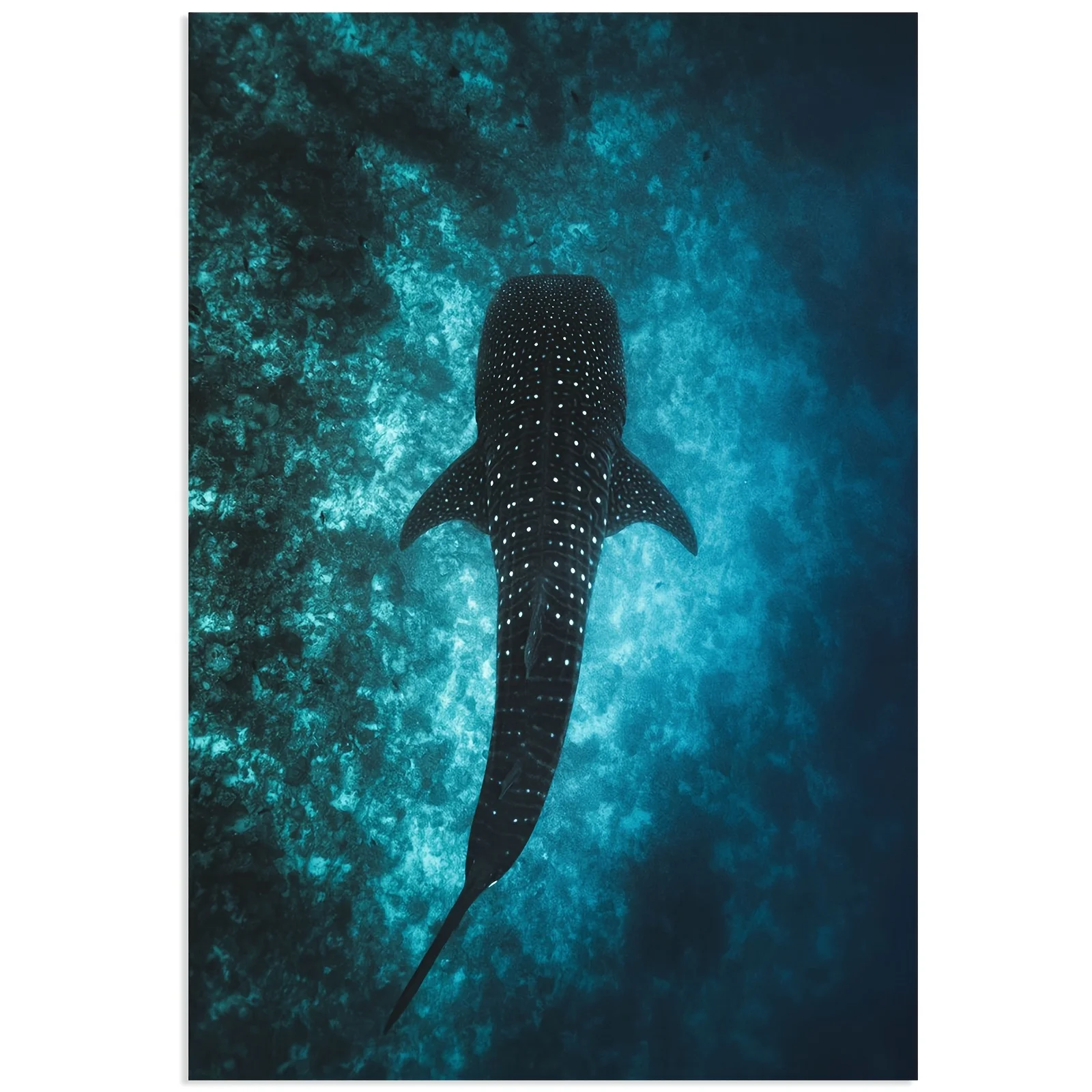 1pc Frameless Canvas Animal Poster, 12x18 Inch Whale Shark Sea Art for Bedrooms, Living Rooms, Hallways, Wall Decor, Winter Deco