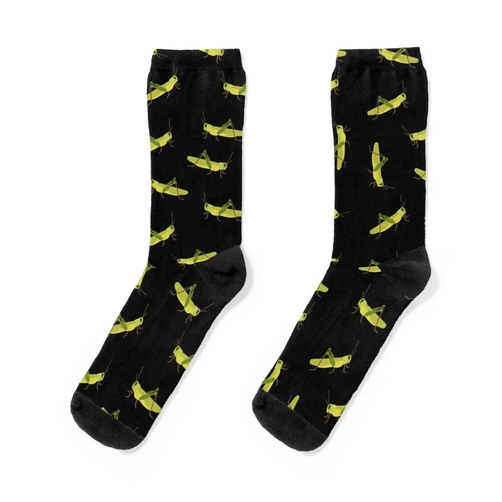 

Grasshopper cricket insect. Grasshopper bug. Socks kawaii hiphop compression snow Designer Man Socks Women's