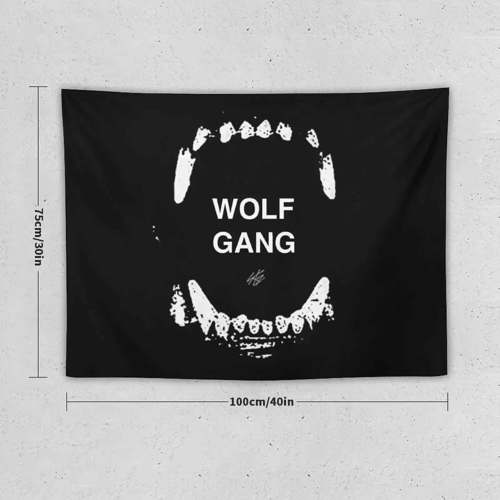 WOLFGANG SKZ Tapestry Room Decorations Aesthetic Room Decoration Korean Style Room Decoration Aesthetic Cute Decor Tapestry