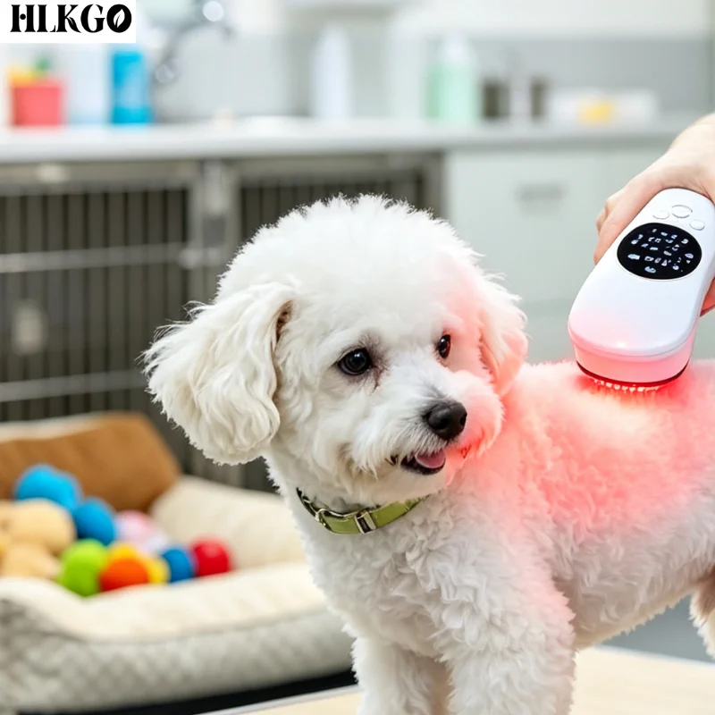 Professional Class 4 High Power Laser Therapy Device Infrared Light for Sciatica Pain Inflammation Physiotherapy Home Care