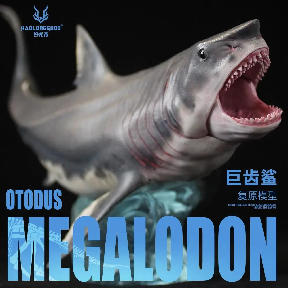HaoLongGood Megalodon Meg 2