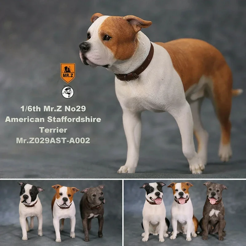 

Mr.Z Studio 1:6 American Staffordshire Terrier Dog Pet Healing Action Figure Canidae Animal Model Toy Collection DIsplay Fans