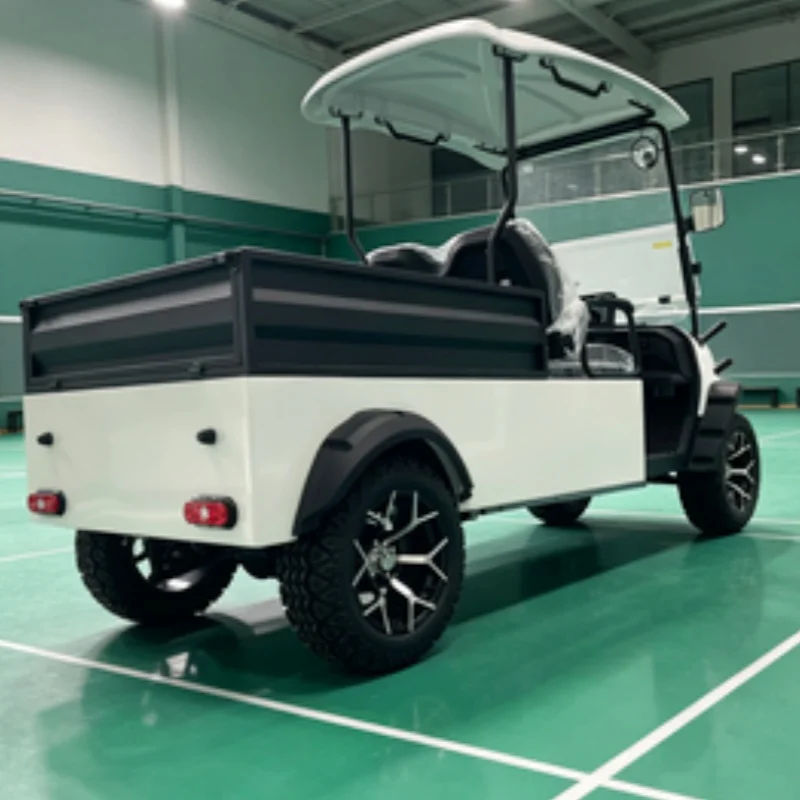 

Trustworthy Chinese Supplier Wholesale New Energy Electric Golf Cart 2 Seater Cargo Cart Rear Cargo Box Bumper Off Road Tire