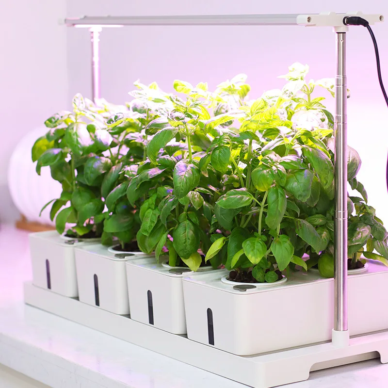 زارع الخضروات المائية آلة الزراعة المائية المنزلية معدات زراعة بدون تربة صندوق زراعة الزهور زهرة ذكية