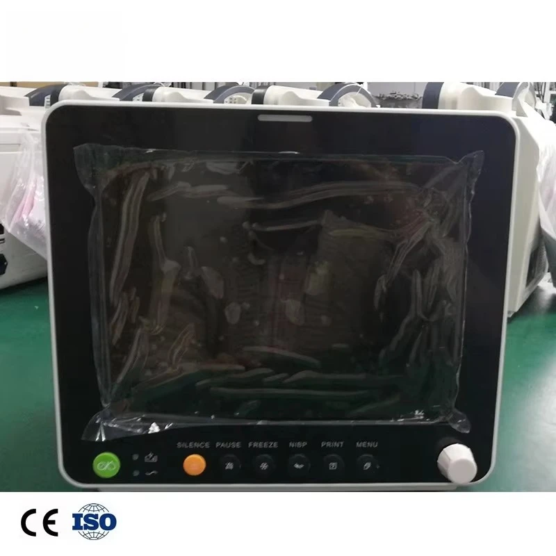 BPM-M1208 Multi Parameter 12 Inch TET LCD Display Pet Monitor Handheld Veterinary Multiparameter Monitor