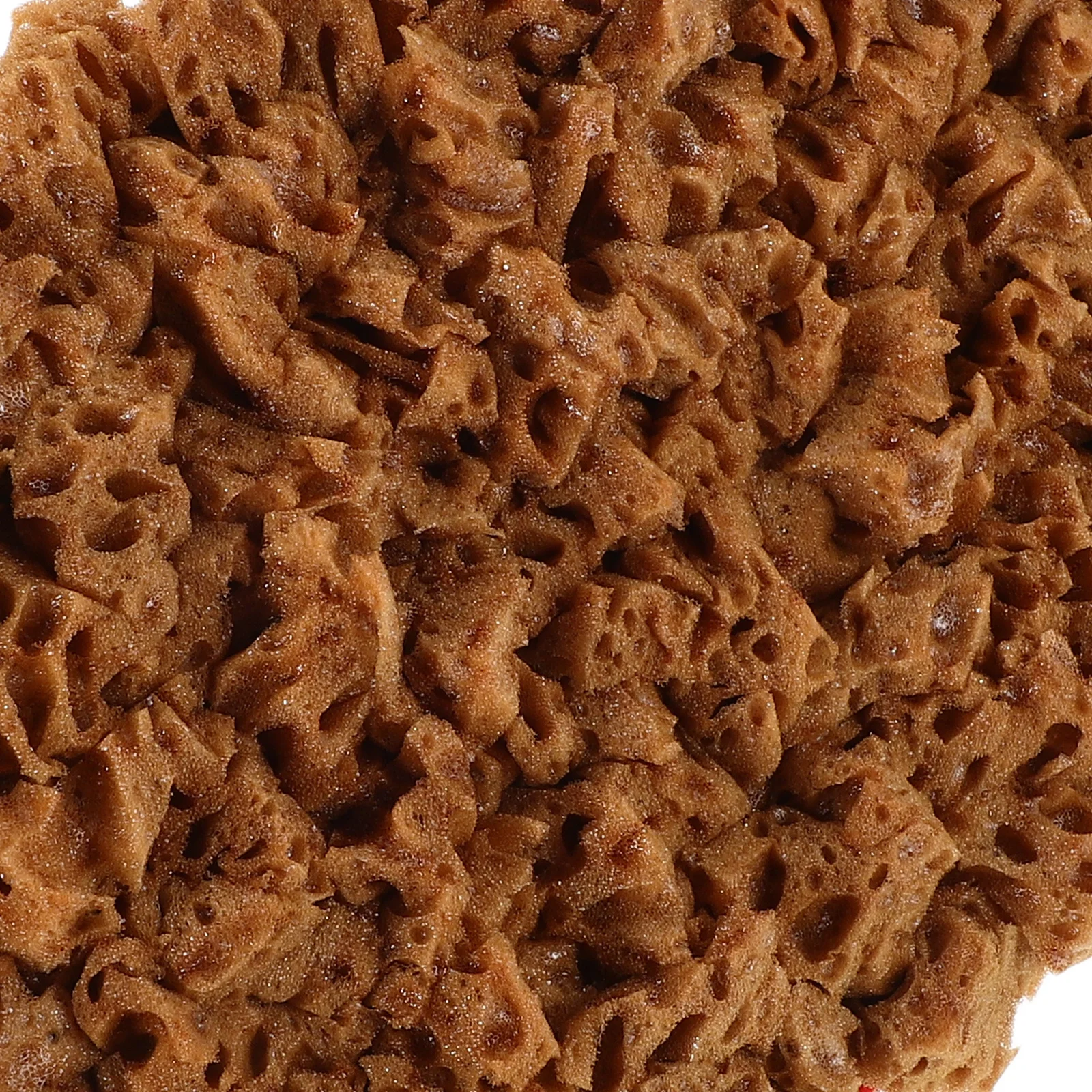 إسفنجة ناعمة قابلة لإعادة الاستخدام لإسفنجة البحر الطبيعية الفنية، تصميم مريح محمول للاستخدام المريح