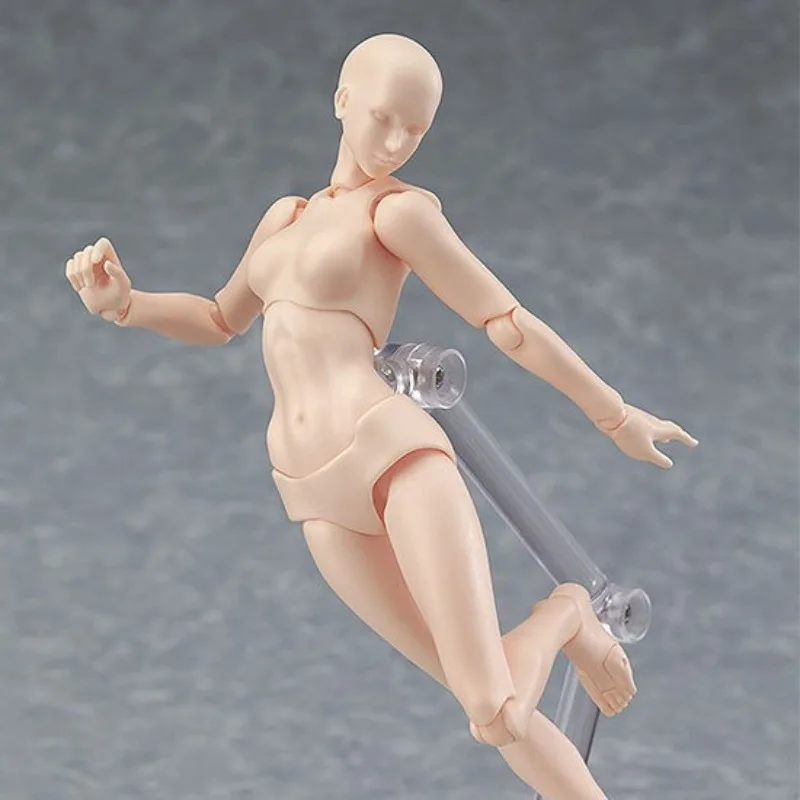 2.0 Youth Movable Body Model Male Female Skin Joint Action Figure Artist Sketch Drawing Mannequin Collectible Display Ornament