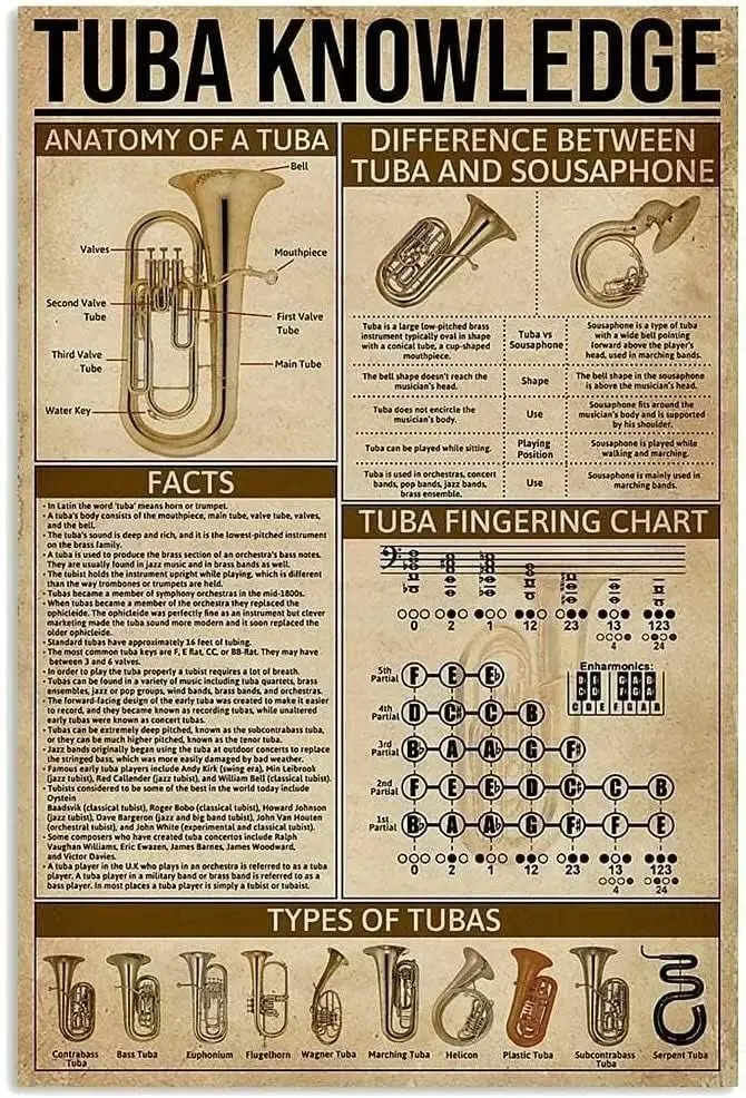 FEBIOAW Tuba Knowledge Panneau métallique décoratif, idéal pour les établissements de formation musicale, les salles de musique, les auditoriums, les magasins de pianos et les maisons.