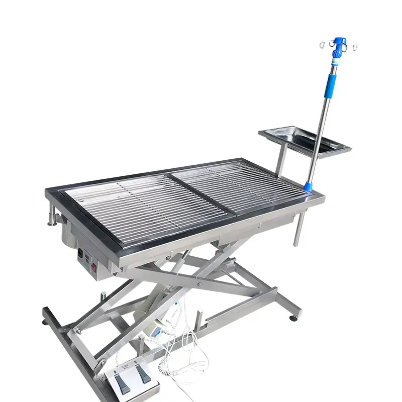 

Chenhong Economic Practical Veterinary Electro-Hydraulic Lifting Table Pet Operating Table for Animals