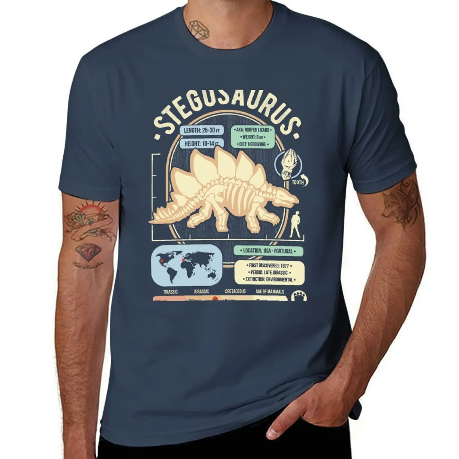

Stegosaurus - Gift Anatomy Science Facts Dinosaur & T-Shirt Work Comfort T-Shirt for Men