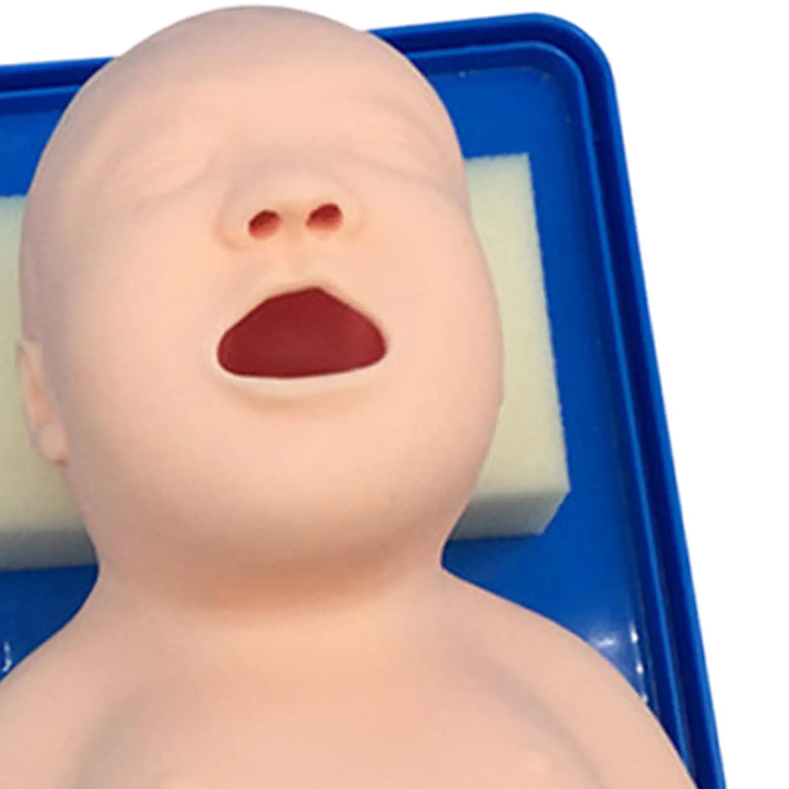 Tracheal Child Infant Airway Management Trainer Infant Intubation Trainer for Science Lab First Aid Simulation Training Students