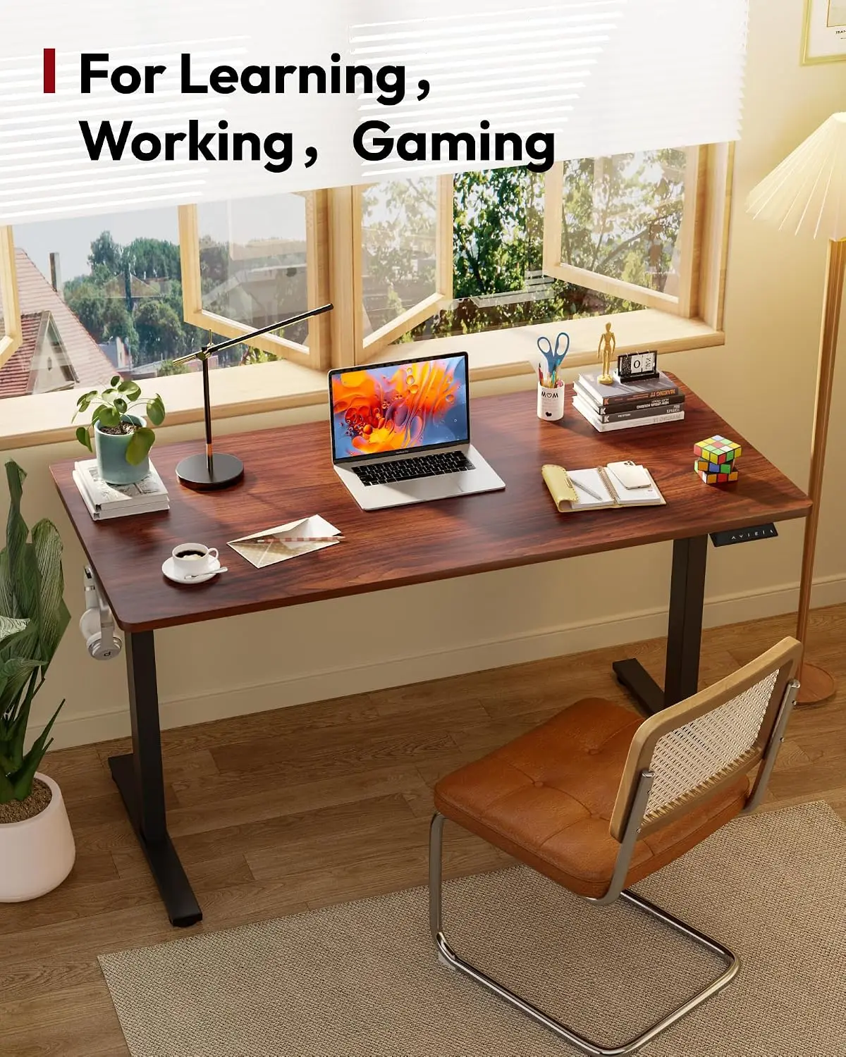 1'' Thick Height Adjustable Standing Desk 60x24 Inch Ergonomic Office Workstation, Customized